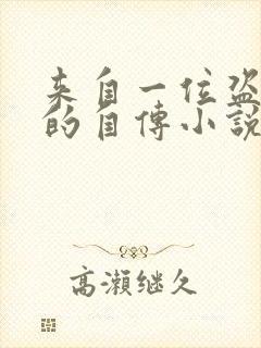 来自一位盗墓者的自传小说