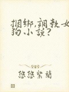 捆绑,调教女母狗小说?