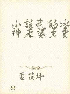 小说我的冰山女神老婆免费阅读封面