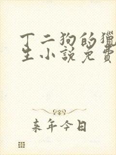 丁二狗的猎艳人生小说免费全文下载