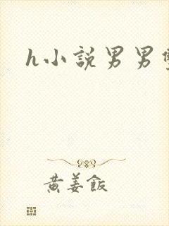 h小说男男双性封面