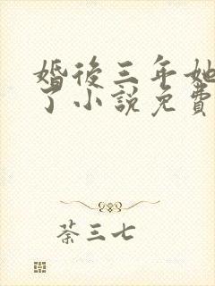 婚后三年她变心了小说免费阅读