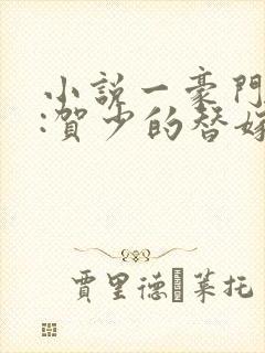 小说一豪门甜宠:贺少的替嫁新娘