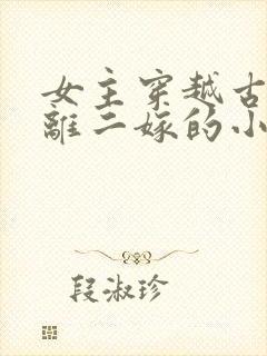 女主穿越古代和离二嫁的小说