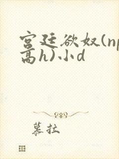 宫廷欲奴(np高h)小d