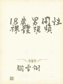 18岁男同性恋裸体视频