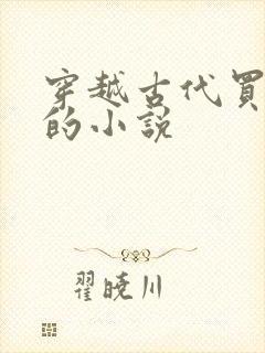 穿越古代买丫鬟的小说