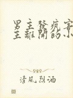 男主发疯害怕女主离开的小说