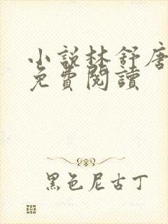 小说林舒唐亦琛免费阅读封面