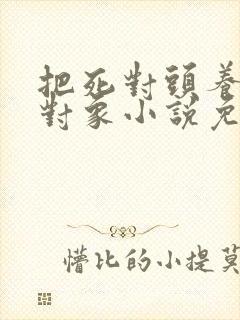 把死对头养成了对象小说免费阅读