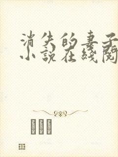 消失的妻子素素小说在线阅读封面