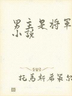 男主是将军古言小说封面