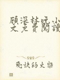 顾深林晚小说全文免费阅读