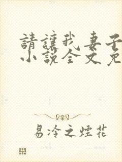 请让我妻子堕落小说全文免费阅读