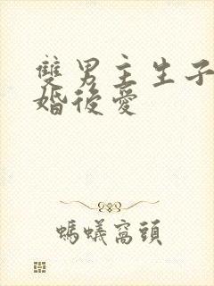 双男主生子文先婚后爱