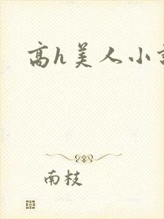 高h美人小说
