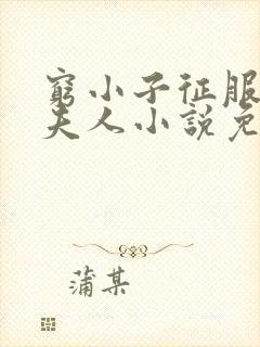 穷小子征服官场夫人小说免费阅读