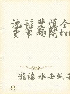 沈稚裴慎全文免费笔趣阁txt封面