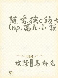 随处挨c的世界(np,高h小说