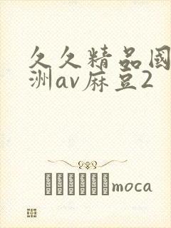 久久精品国产亚洲av麻豆2封面