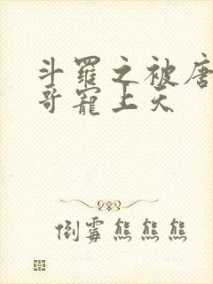 斗罗之被唐三哥哥宠上天封面