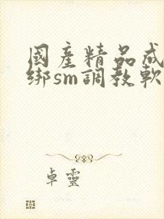 国产精品成人捆绑sm调教软件