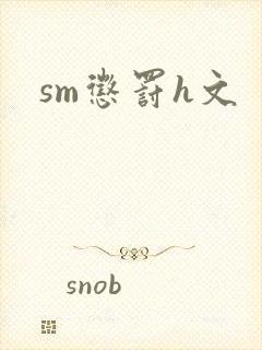 sm惩罚h文