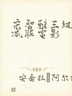 宋智雅三级无删减版电影封面