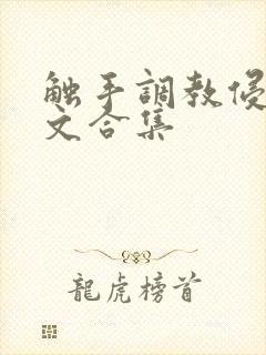 触手调教侵犯h文合集