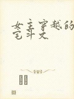 女主穿越的古言宅斗文