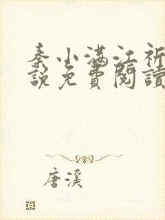 秦小满江祈安小说免费阅读封面