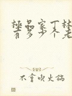 极品家丁林晚荣有多少个老婆