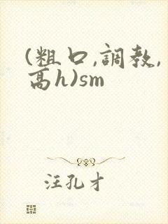 (粗口,调教,高h)sm封面