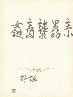 女主被男主用锁链囚禁的小说封面