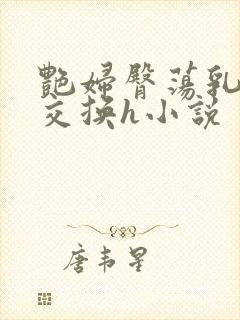 艳妇臀荡乳欲伦交换h小说封面