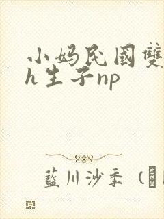 小妈民国双性高h生子np