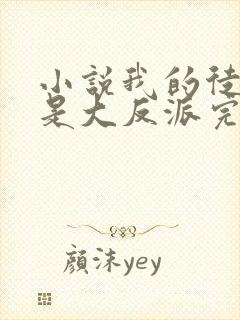 小说我的徒弟都是大反派完结版