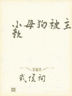 小母狗被主人调教