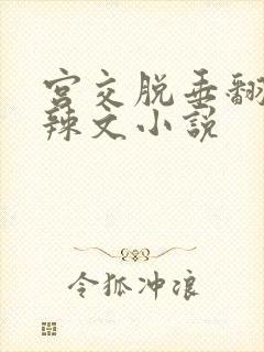 宫交脱垂翻出h辣文小说封面