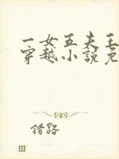 一女五夫王二妮穿越小说免费阅读