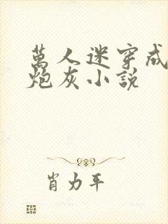 万人迷穿成恶毒炮灰小说