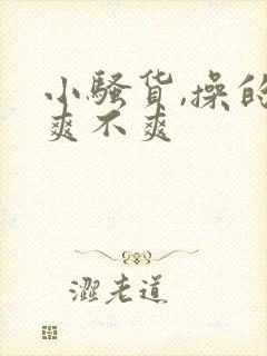 小骚货,操的你爽不爽封面