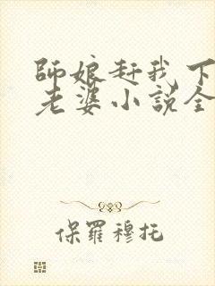 师娘赶我下山找老婆小说全文下载