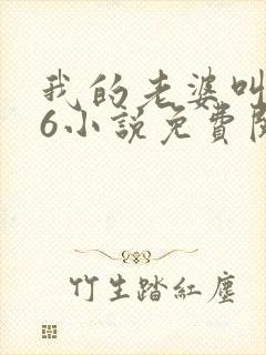 我的老婆叫武艳6小说免费阅读