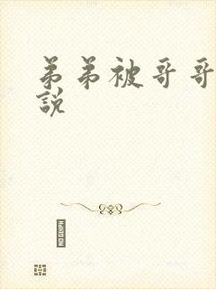 弟弟被哥哥打小说封面