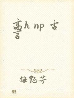 高h np 古言