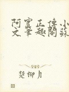 阿宾正传小说全文笔趣阁苏霞和朱干