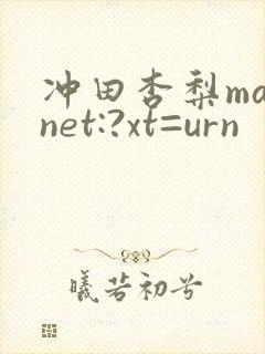 冲田杏梨magnet:?xt=urn