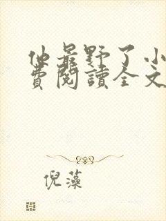 他最野了小说免费阅读全文