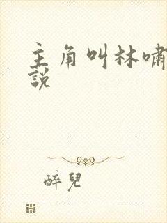 主角叫林啸的小说